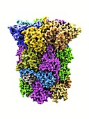 Yeast enzyme,molecular model