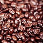 Coffee beans