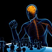 Chess player,artwork