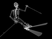 Skeleton skiing,artwork