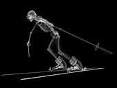 Skeleton skiing,artwork