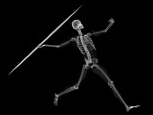 Skeleton throwing javelin,artwork