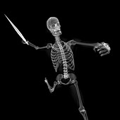 Skeleton throwing javelin,artwork