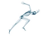 Skeleton sprinting,artwork