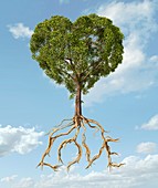 Heart-shaped tree,artwork