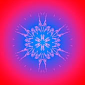 Snowflake pattern,artwork