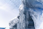 Icebergs,Antarctica