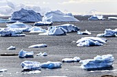 Icebergs,Antarctica