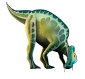 Artwork of a corythosaurus dinosaur