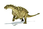 Talarurus dinosaur,artwork