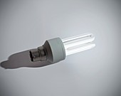 CFL energy saving bulb