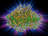 Photosystem I molecule