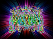 Cytochrome c oxidase molecule