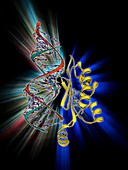 RNA interference viral suppressor and RNA