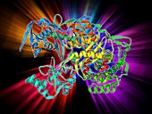 Argonaute protein molecule