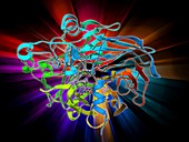 Retinal-producing oxygenase enzyme