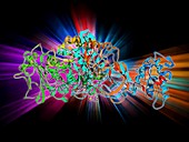 Bacterial biofilm enzyme