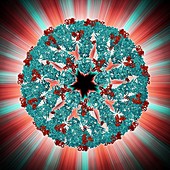Bluetongue virus capsid,molecular model