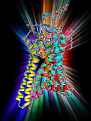 Metarhodopsin molecule