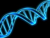 DNA (Deoxyribonucleic acid) strand,artwo