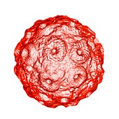 Brome mosaic virus (BMV),artwork