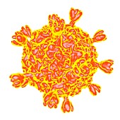 Smallpox virus,artwork
