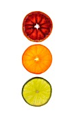 Slices of citrus fruit
