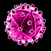 Human immunodeficiency virus,artwork