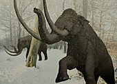 Woolly mammoth in snow