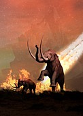 Woolly mammoths and meteor