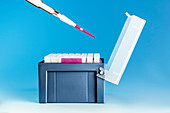 Pipette and medical samples in a box
