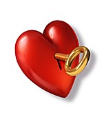 Red heart shape with a gold key,artwork