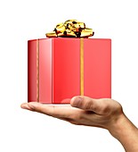 Person holding a red gift wrapped box
