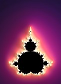 Mandelbrot fractal