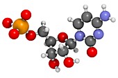 Cytidine monophosphate molecule
