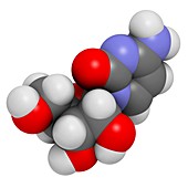 Cytidine molecule