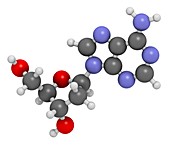 Deoxyadenosine nucleoside molecule