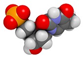Thymidine monophosphate molecule