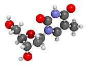 Thymidine nucleoside molecule