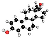 Estradiol molecule