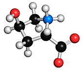 Hydroxyproline amino acid