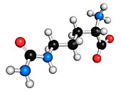 Citrulline amino acid molecule