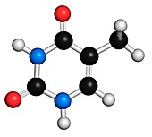 Thymine nucleobase molecule