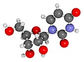 Uridine nucleoside molecule