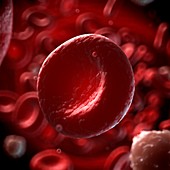 Human red blood cell,illustration