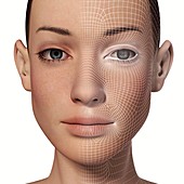 Female Head with biometric facial map