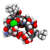 Dalbavancin antibiotic molecule