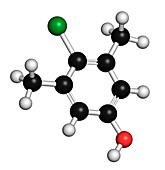 Chloroxylenol antiseptic molecule
