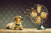 Dog next to electric fan,illustration