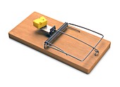 Mousetrap with cheese,illustration